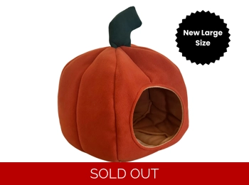 Autumn Pumpkin Bed - Large